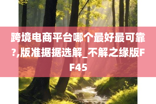 跨境电商平台哪个最好最可靠?,版准据据选解_不解之缘版FF45