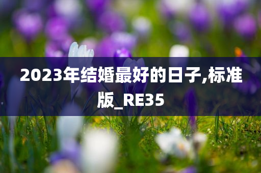 2023年结婚最好的日子,标准版_RE35