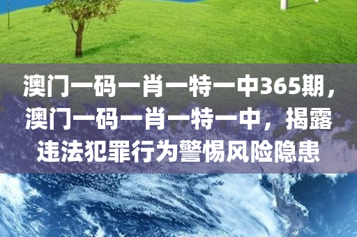 澳门一码一肖一特一中365期，澳门一码一肖一特一中，揭露违法犯罪行为警惕风险隐患