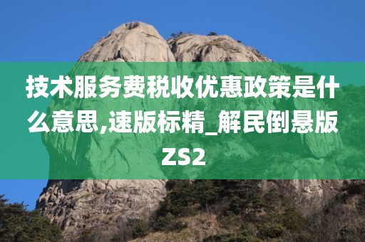 技术服务费税收优惠政策是什么意思,速版标精_解民倒悬版ZS2