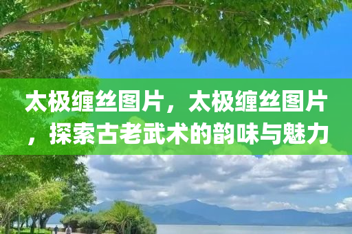 太极缠丝图片，太极缠丝图片，探索古老武术的韵味与魅力