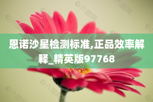 恩诺沙星