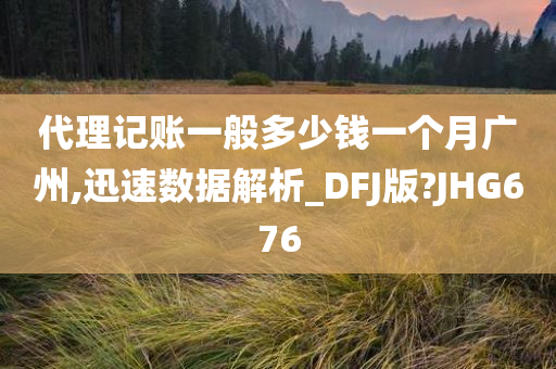 代理记账一般多少钱一个月广州,迅速数据解析_DFJ版?JHG676