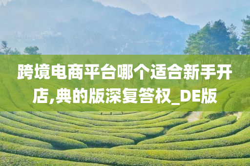 跨境电商平台哪个适合新手开店,典的版深复答权_DE版