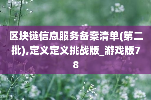 区块链信息服务备案清单(第二批),定义定义挑战版_游戏版78