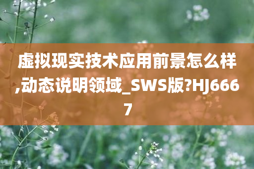 虚拟现实技术应用前景怎么样,动态说明领域_SWS版?HJ6667