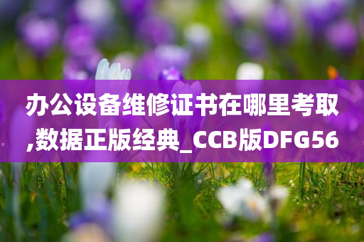 办公设备维修证书在哪里考取,数据正版经典_CCB版DFG56