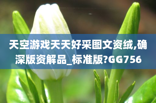 天空游戏