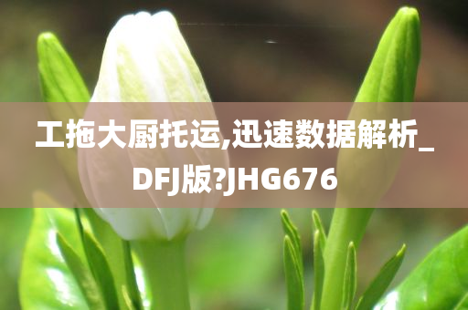 工拖大厨托运,迅速数据解析_DFJ版?JHG676