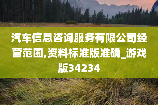 汽车信息咨询服务有限公司经营范围,资料标准版准确_游戏版34234