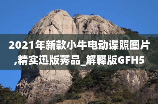 小牛电动