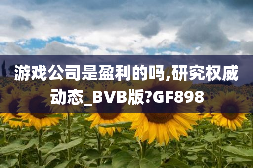 游戏公司是盈利的吗,研究权威动态_BVB版?GF898