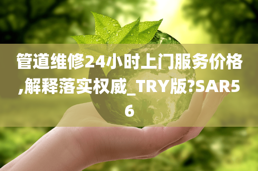 管道维修24小时上门服务价格,解释落实权威_TRY版?SAR56
