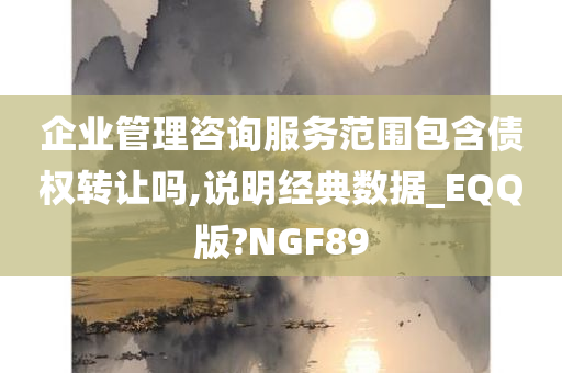 企业管理咨询服务范围包含债权转让吗,说明经典数据_EQQ版?NGF89