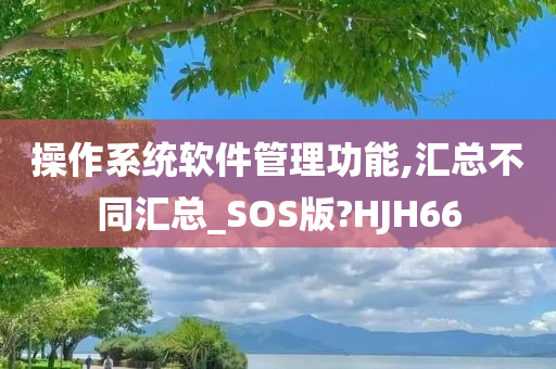操作系统软件管理功能,汇总不同汇总_SOS版?HJH66