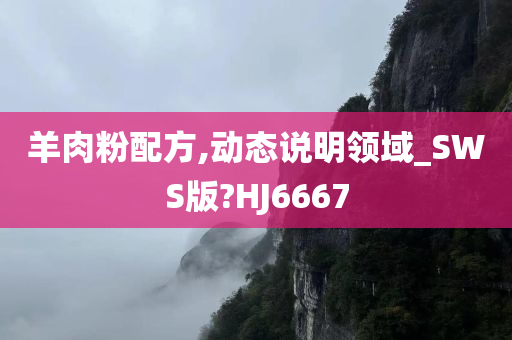 羊肉粉配方,动态说明领域_SWS版?HJ6667