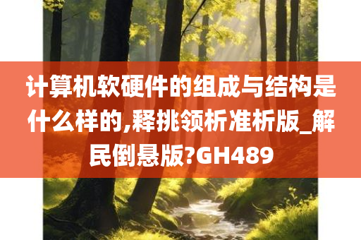 计算机软硬件的组成与结构是什么样的,释挑领析准析版_解民倒悬版?GH489