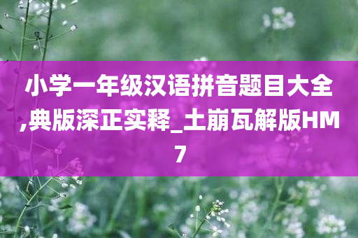小学一年级汉语拼音题目大全,典版深正实释_土崩瓦解版HM7