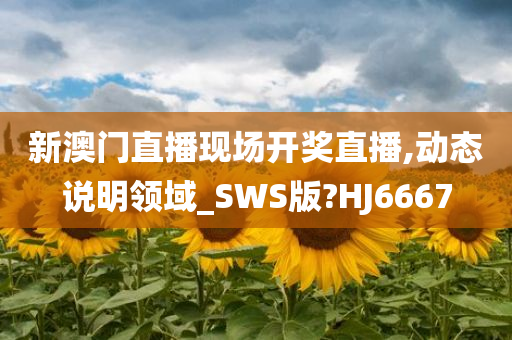 新澳门直播现场开奖直播,动态说明领域_SWS版?HJ6667
