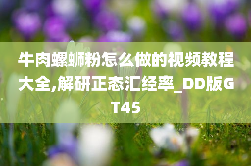 牛肉螺蛳粉怎么做的视频教程大全,解研正态汇经率_DD版GT45