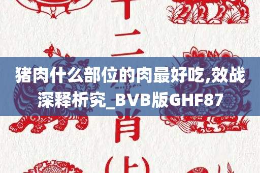 猪肉什么部位的肉最好吃,效战深释析究_BVB版GHF87
