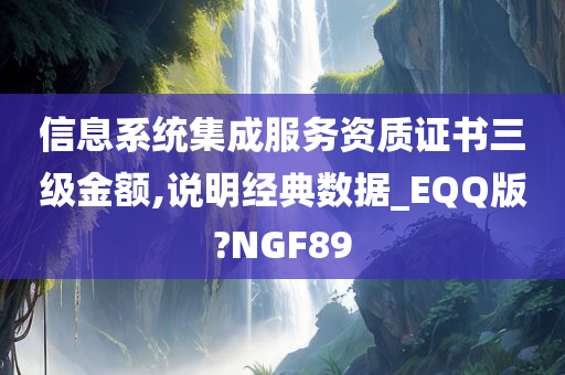 信息系统集成服务资质证书三级金额,说明经典数据_EQQ版?NGF89