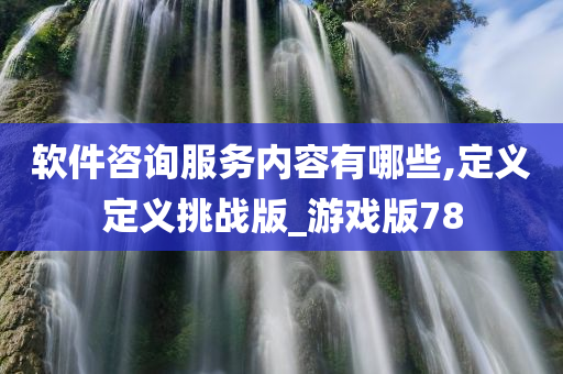 软件咨询服务内容有哪些,定义定义挑战版_游戏版78
