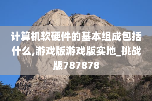计算机软硬件的基本组成包括什么,游戏版游戏版实地_挑战版787878