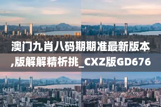GD676 第14页