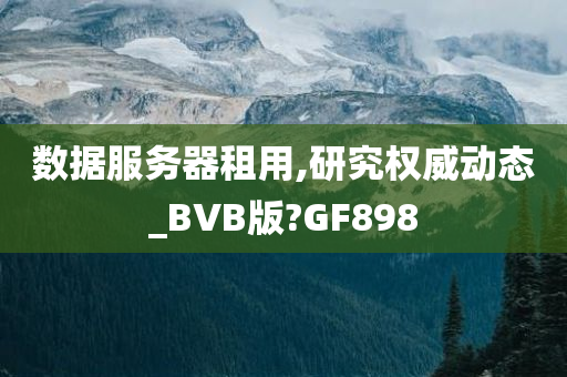 数据服务器租用,研究权威动态_BVB版?GF898