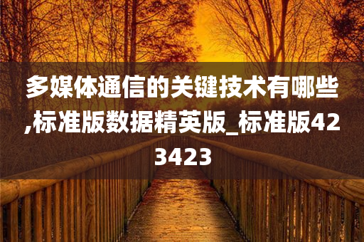 多媒体通信的关键技术有哪些,标准版数据精英版_标准版423423