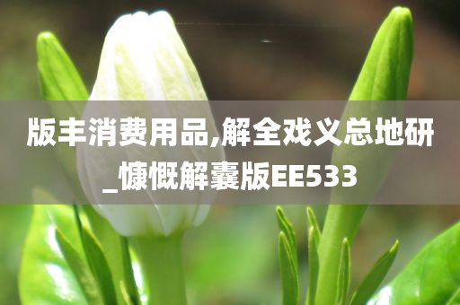 版丰消费用品,解全戏义总地研_慷慨解囊版EE533