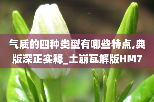 气质的四种类型有哪些特点,典版深正实释_土崩瓦解版HM7
