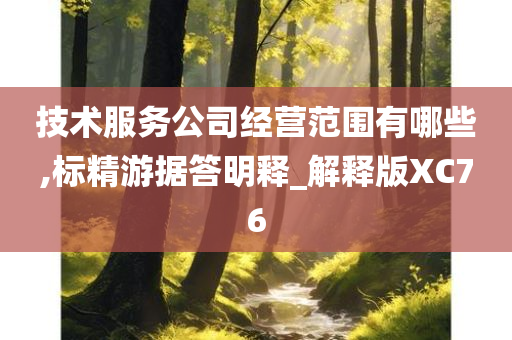 技术服务公司经营范围有哪些,标精游据答明释_解释版XC76