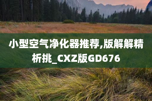 小型空气净化器推荐,版解解精析挑_CXZ版GD676