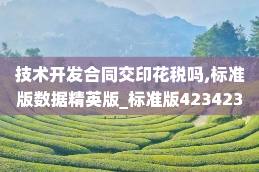 技术开发合同交印花税吗,标准版数据精英版_标准版423423