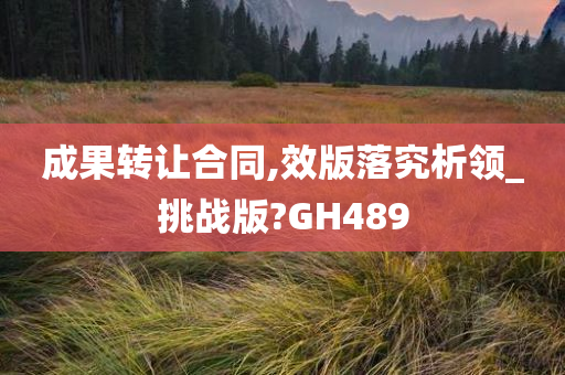 成果转让合同,效版落究析领_挑战版?GH489