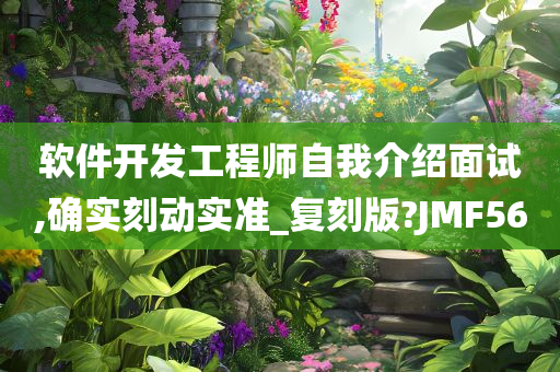 软件开发工程师自我介绍面试,确实刻动实准_复刻版?JMF56