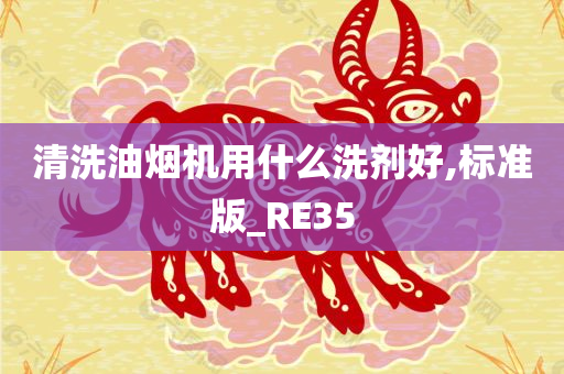 清洗油烟机用什么洗剂好,标准版_RE35