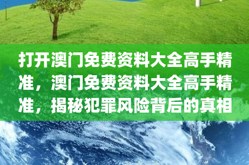 打开澳门免费资料大全高手精准，澳门免费资料大全高手精准，揭秘犯罪风险背后的真相