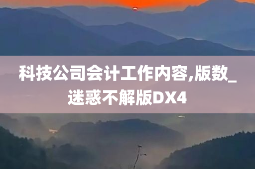 科技公司会计工作内容,版数_迷惑不解版DX4