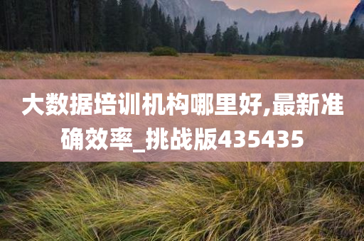 大数据培训机构哪里好,最新准确效率_挑战版435435