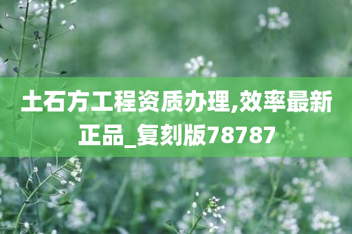 土石方工程资质办理,效率最新正品_复刻版78787