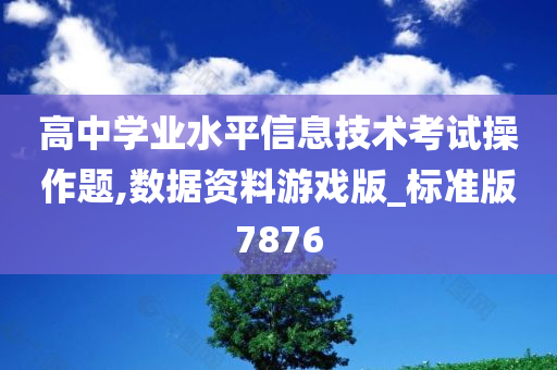 高中学业水平信息技术考试操作题,数据资料游戏版_标准版7876
