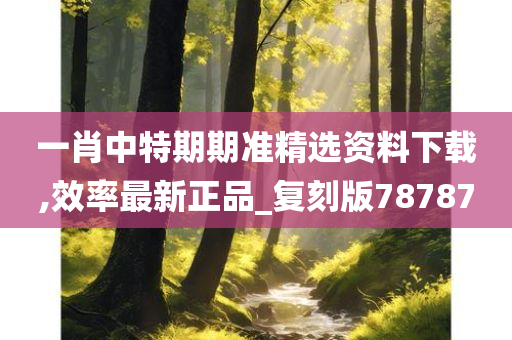 一肖中特期期准精选资料下载,效率最新正品_复刻版78787