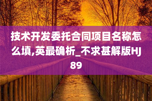 技术开发委托合同项目名称怎么填,英最确析_不求甚解版HJ89