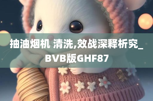 抽油烟机 清洗,效战深释析究_BVB版GHF87