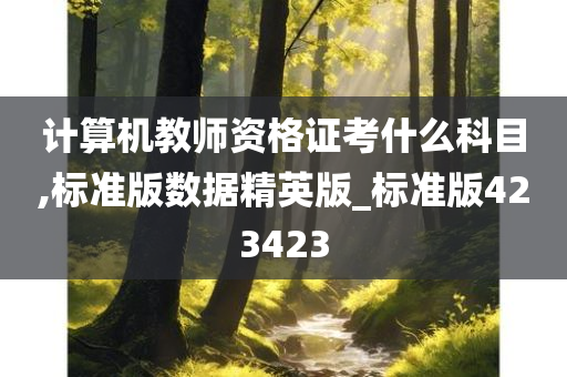 计算机教师资格证考什么科目,标准版数据精英版_标准版423423