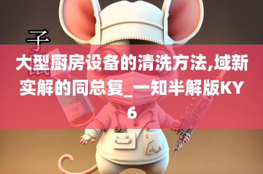 大型厨房设备的清洗方法,域新实解的同总复_一知半解版KY6