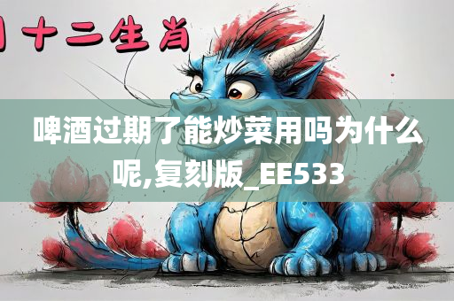 啤酒过期了能炒菜用吗为什么呢,复刻版_EE533